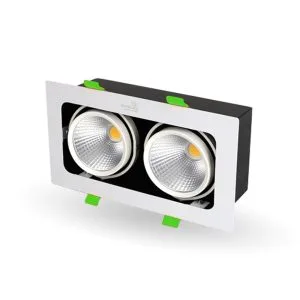 Đèn Led Âm Trần Rọi Topaz Kingled GL-2*10SS-V227-V/TT/T