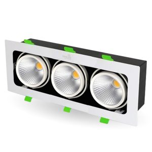 Đèn Led Âm Trần Rọi Topaz Kingled GL-3*10SS-V334-V/TT/T