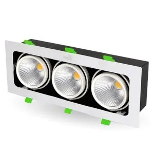 Đèn Led Âm Trần Rọi Topaz Kingled GL-3*10SS-V334-V/TT/T