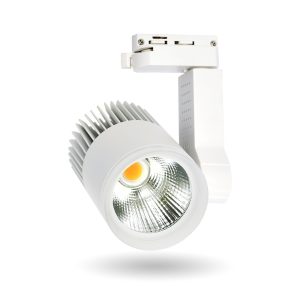 Đèn Rọi Ray Beryl Kingled DTL-30SS-V/TT/T