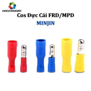 Cos Đồng Đực Cái MPD/FRD - MINJIN