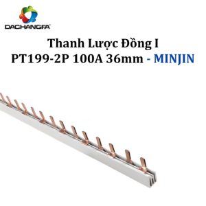 Thanh Lược Đồng I - PT199-2P 100A 36mm - MINJIN