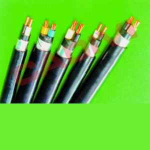 CÁP ĐIỆN KẾ (MULLER)