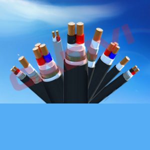 DÂY VÀ CÁP ĐIỆN LỰC HẠ THẾ